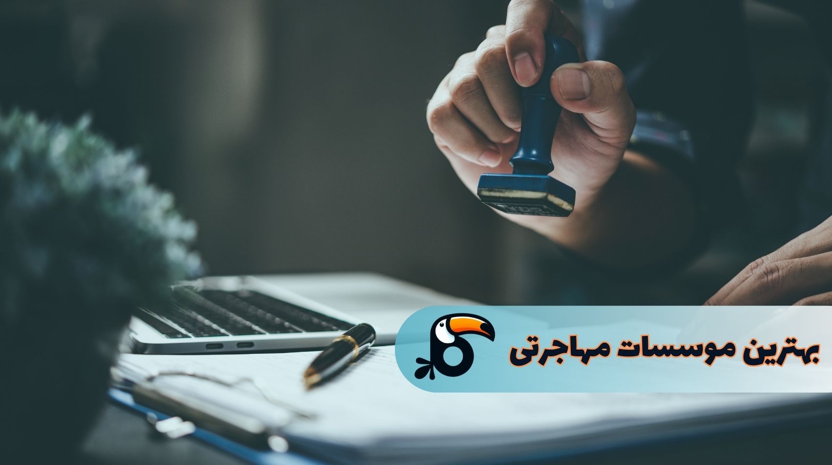 بهترین موسسه مهاجرتی در تهران