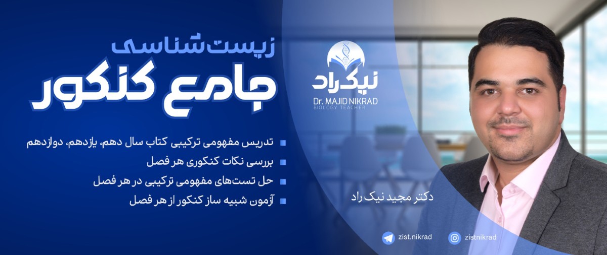 دکتر مجید نیک راد
