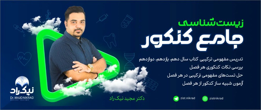 مجید نیک راد