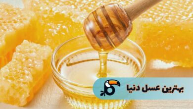 بهترین عسل دنیا