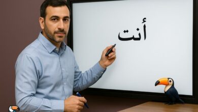 بهترین دبیر عربی کنکور