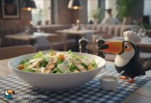 بهترین سالاد سزار تهران